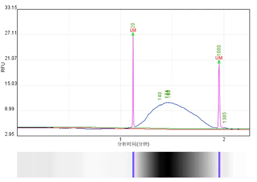 高通量超聲波基因組剪切儀DNA片段化結(jié)果圖案例2